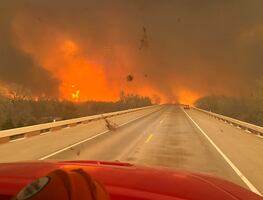 Texas en llamas: Más de 1,300 km devorados por incendios forestales; fábrica nuclear detiene operaciones