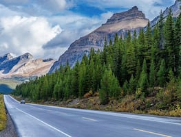 Atracciones y cosas por hacer en Icefields Parkway de Alberta, Canadá