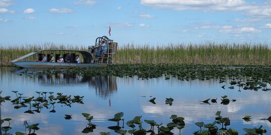 Florida blindará los Everglades ante exploración petrolera