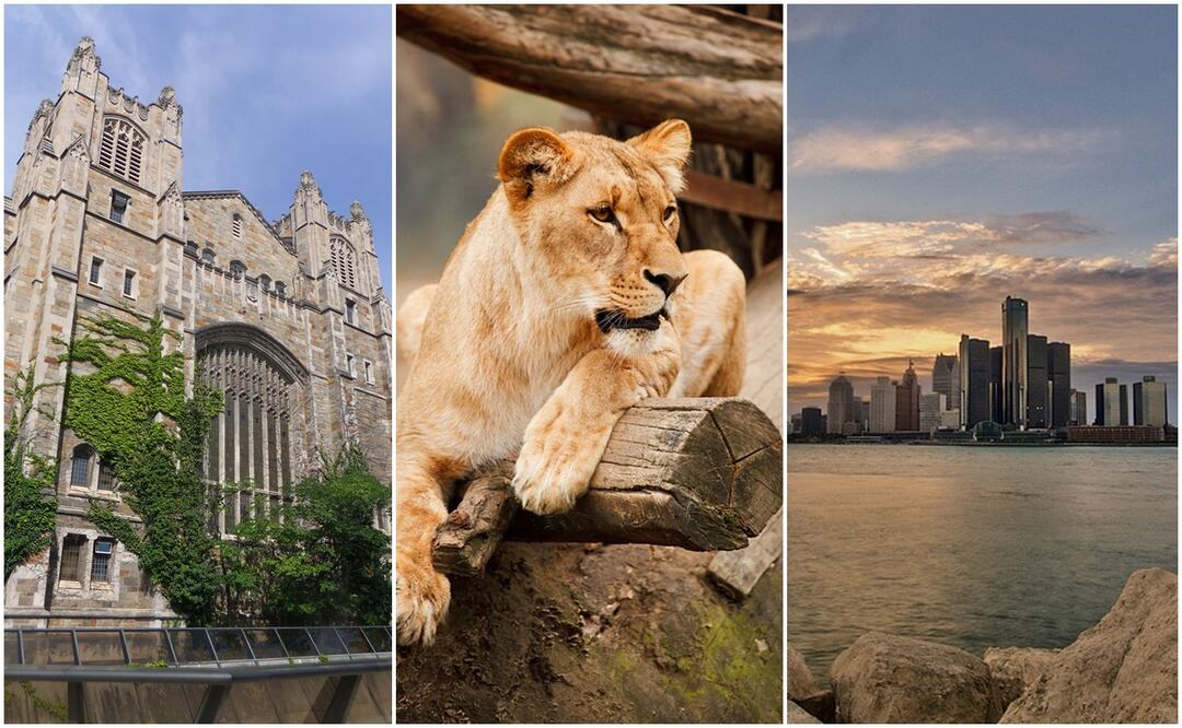 Pixabay/Wikimedia Commons 