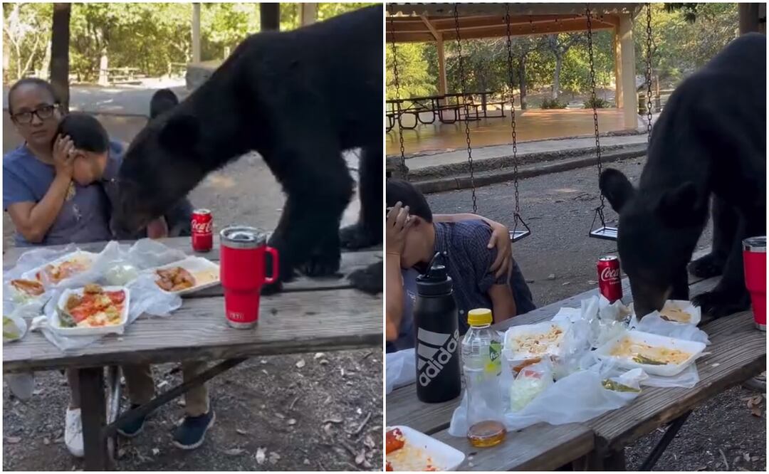 Oso sorprende a familia en parque de Nuevo León. Foto tomada de twitter