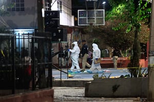 Alfredo Cabrera. Misión Electoral de la OEA condena el asesinato del candidato en Coyuca de Benítez