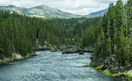 Reabren las entradas al Parque Nacional Yellowstone en Montana