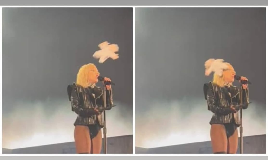 Los mejores memes sobre la imposición de Canadá de visa para los mexicanos Foto: Tomada de X