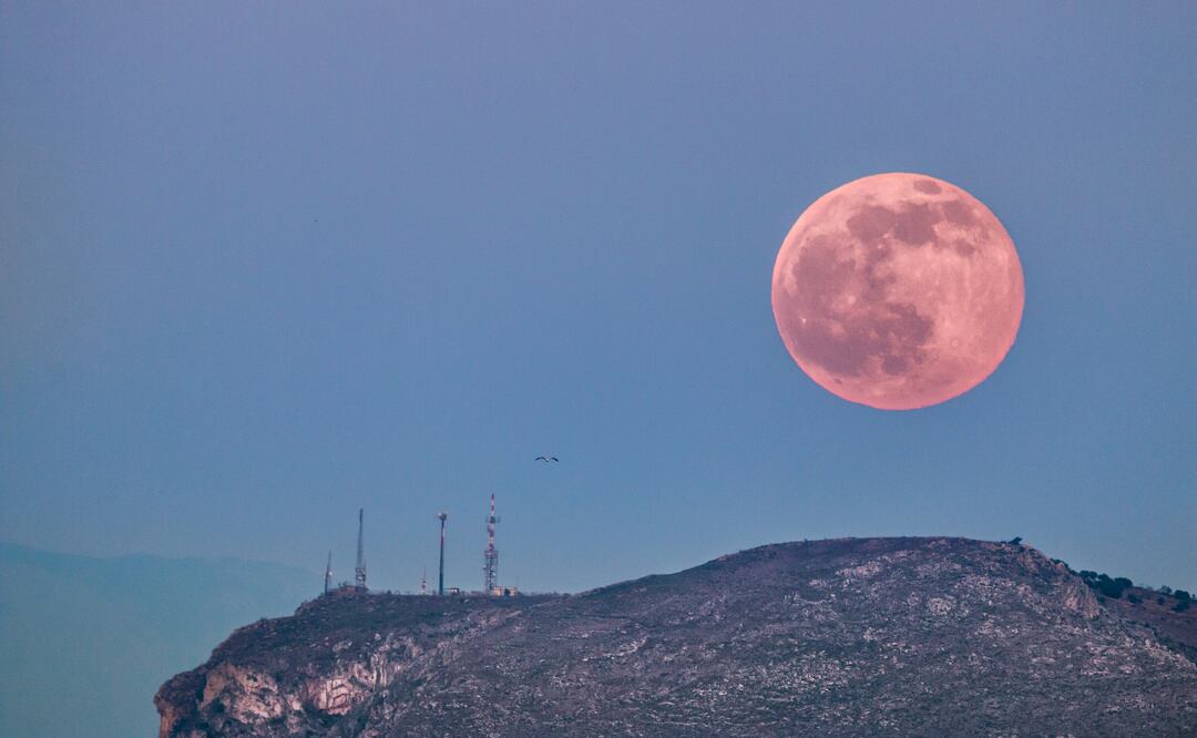 Luna de Fresa 2025: la última Luna llena de primavera iluminará el cielo de junio. Foto: Canva