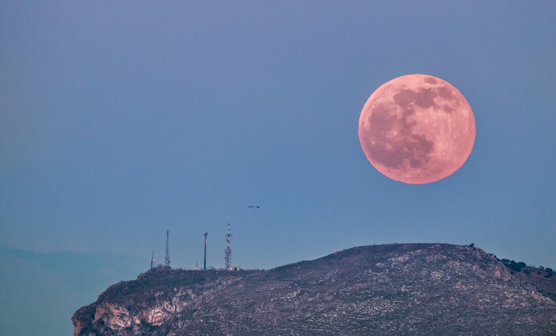 Luna de Fresa 2025: la última Luna llena de primavera iluminará el cielo de junio. Foto: Canva