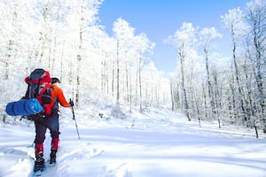 No sólo en el Nevado de Toluca cae nieve; otros lugares en México para disfrutar 