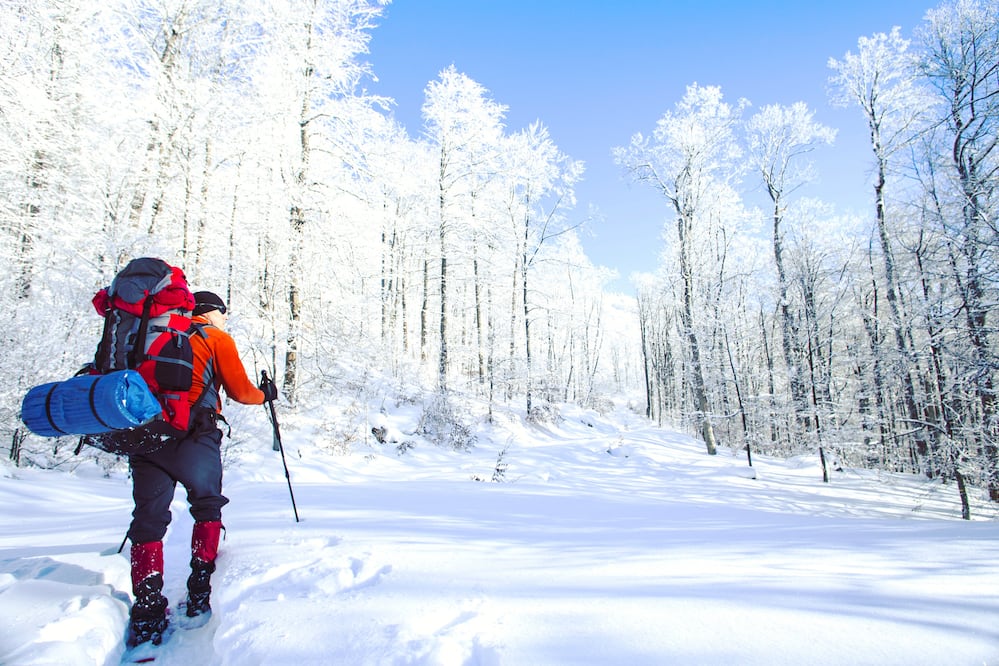 Nevadas en México. Foto: iSTOCK-Vitalalp