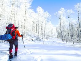 No sólo en el Nevado de Toluca cae nieve; otros lugares en México para disfrutar