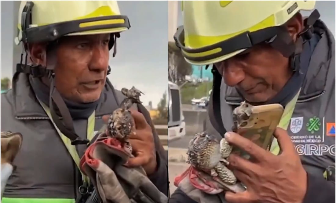 Rescatista contesta celular calcinado por explosión en Iztapalapa y ayuda a la búsqueda de una joven. Foto: Captura de video / X