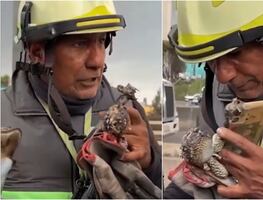 Rescatista contesta celular calcinado por explosión de pipa en Iztapalapa y ayuda a la búsqueda de una joven