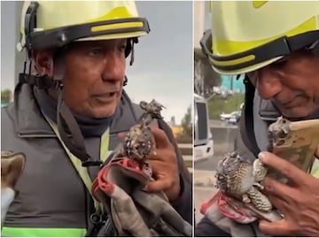 Rescatista contesta celular calcinado por explosión de pipa en Iztapalapa y ayuda a la búsqueda de una joven