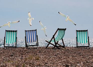 Hombre que dormía en la playa murió aplastado por camión de limpieza