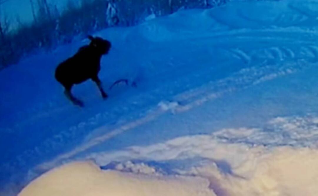 Foto tomada de video