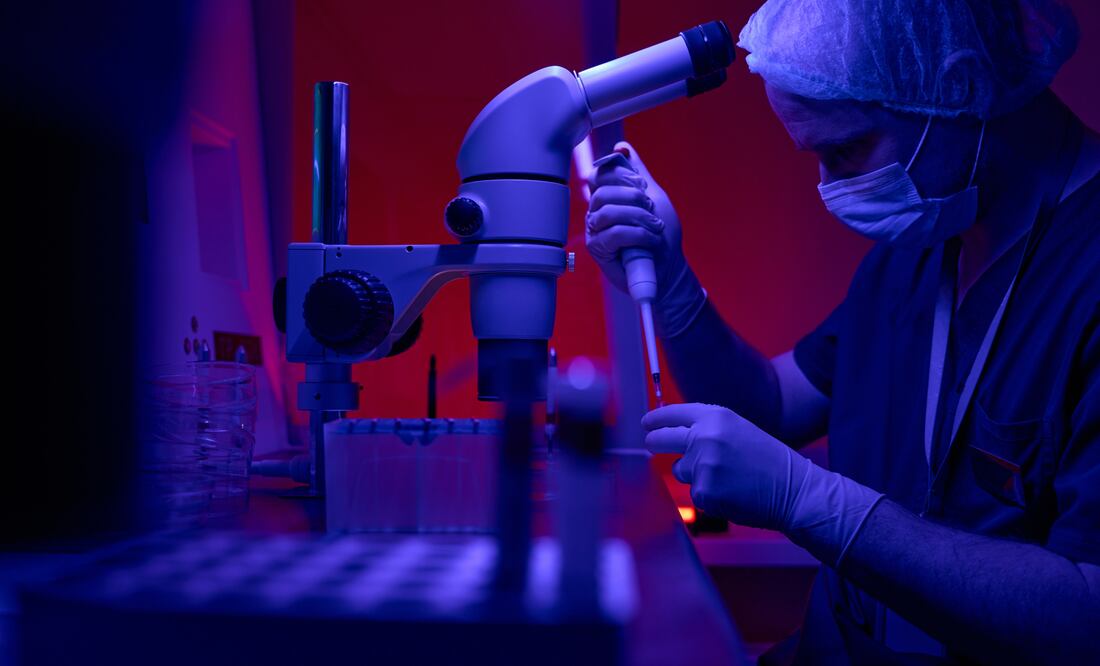 Polémico fallo en Alabama: Embriones congelados son reconocidos como "niños". Foto iStock / yacobchuk