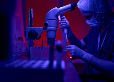 Polémico fallo en Alabama: Embriones congelados son reconocidos como "niños"