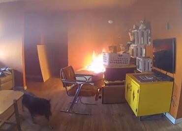 Video. Perro explorador provoca incendio en casa de EU