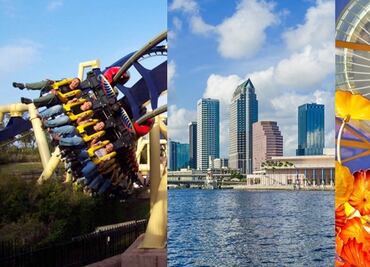 ¿Cómo visitar lo mejor de Tampa Bay por 109 dólares?