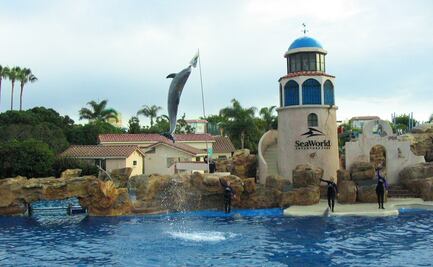 SeaWorld San Diego anuncia su evento especial para Halloween