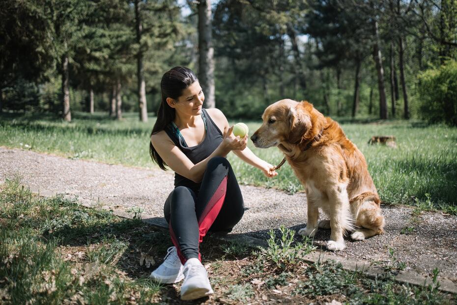 ¿Cuánto gana un entrenador de perros en Estados Unidos? Los estados que pagan más. iStock/Synergicworks