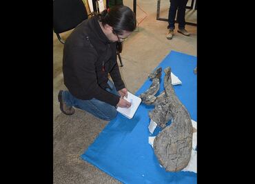 Mexicanos identifican nueva especie de dinosaurio