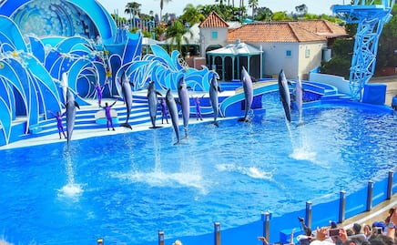 SeaWorld San Diego cierra el famoso simulador Wild Arctic