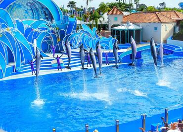 SeaWorld San Diego cierra el famoso simulador Wild Arctic