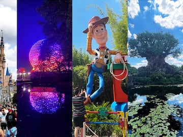 Los 4 parques temáticos que conforman Walt Disney World Resort