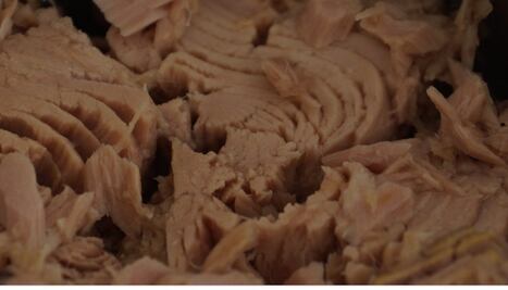 Demandan a Subway por utilizar "atún falso"