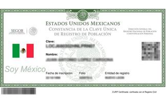 ¿Cómo consultar y descargar la CURP en línea?