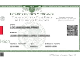 ¿Cómo consultar y descargar la CURP en línea?