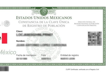 ¿Cómo consultar y descargar la CURP en línea?