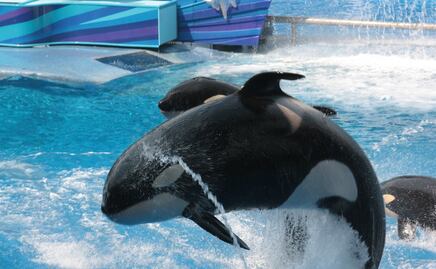 Así es Ice Breaker, la montaña rusa que llegará a SeaWorld Orlando