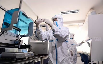 Modelo matemático apunta que el Covid surgió en China a mitad de noviembre