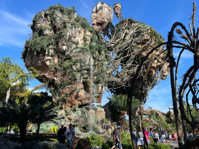 Disney World/ Vive USA