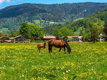 Así es The Ranch, el hotel más caro de Estados Unidos