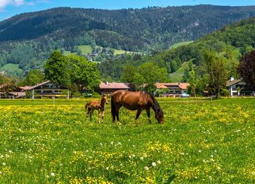 Así es The Ranch, el hotel más caro de Estados Unidos