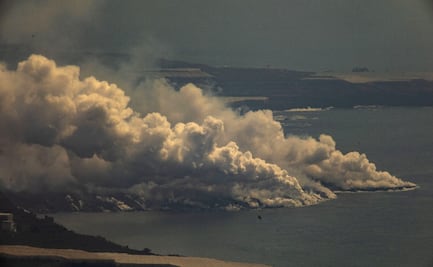 Equipo de rescate se adelanta a drones y salva a perros de lava de La Palma