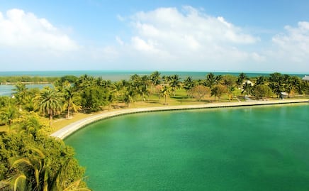 ¡Maravillas acuáticas! Cómo es y qué hacer en el Parque Nacional Biscayne de Florida