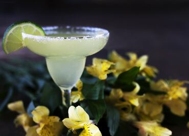 ¿Por qué se celebra el Día de la Margarita en Estados Unidos?