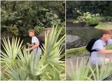 Detenido por osadía; joven se graba cerca de un estanque lleno de caimanes en zoológico de Florida