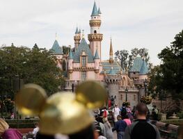 Solicitan guardias de seguridad para trabajo en Disneyland, California; pagan $350 por hora