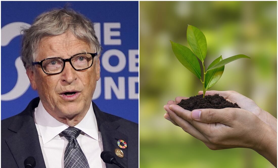 Bill Gates dice que el cambio climático no se combate plantando árboles.  iSTOCK-Chonlatee Sangsawang