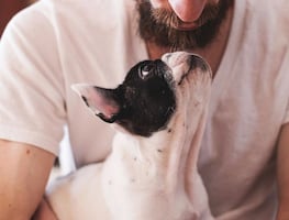 ¿Los perros lloran cuando ven a sus dueños? Esto explica la ciencia