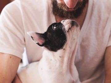 ¿Los perros lloran cuando ven a sus dueños? Esto explica la ciencia