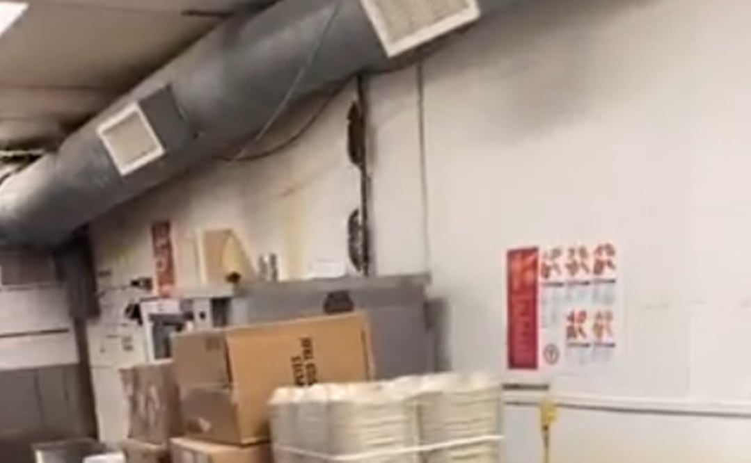 Foto: captura de pantalla