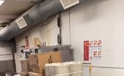 Cierran restaurante de Popeyes en EU tras viralizarse infestación de ratas