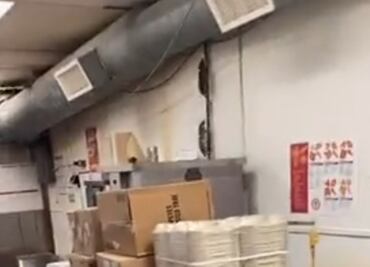 Cierran restaurante de Popeyes en EU tras viralizarse infestación de ratas