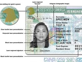 Green Cards y visas más comunes para vivir en Estados Unidos