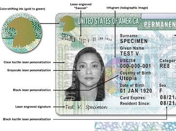 Green Cards y visas más comunes para vivir en Estados Unidos